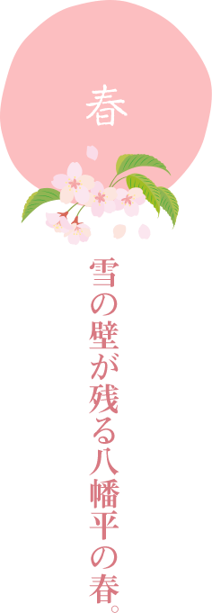 春　雪の壁が残る八幡平の春。