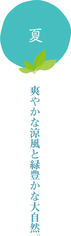 夏　爽やかな涼風と緑豊かな大自然。