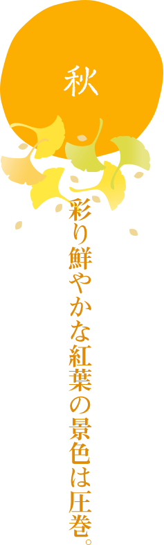 秋　彩り鮮やかな紅葉の景色は圧巻。