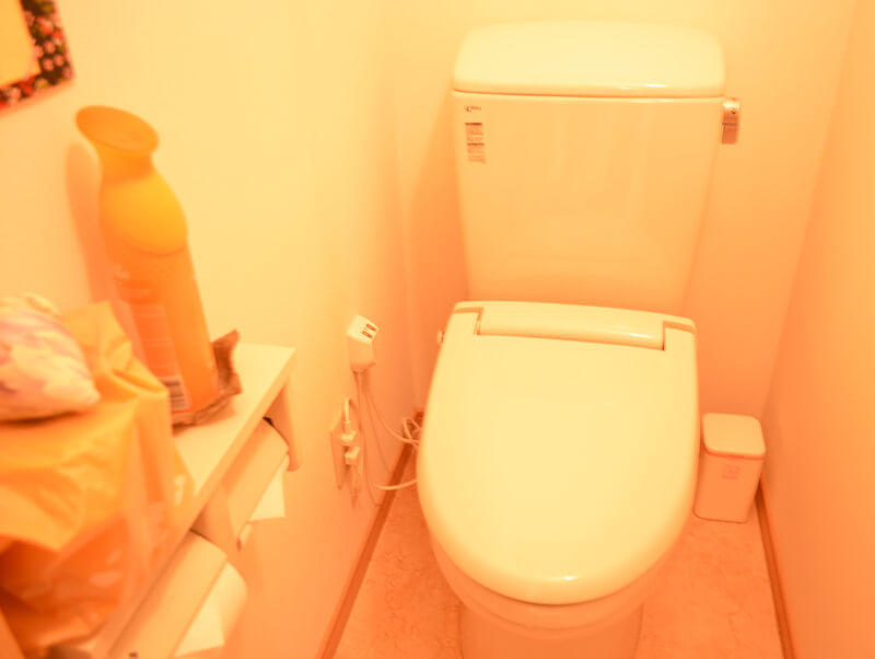 八幡平市松川温泉　松川荘　一般客室　トイレ