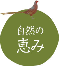 自然の恵み
