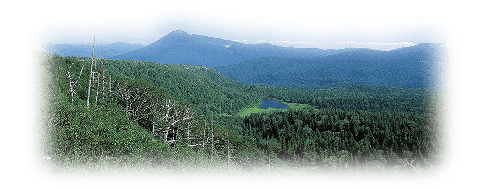 自然の恵み　イメージ