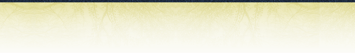 静寂が心を癒す何もない贅沢を楽しむ宿