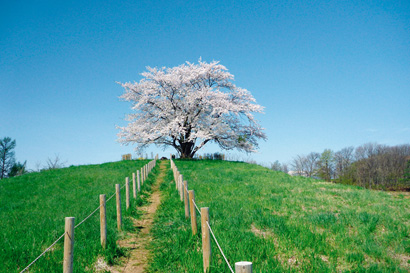 松川温泉　松川荘　温泉イメージ
